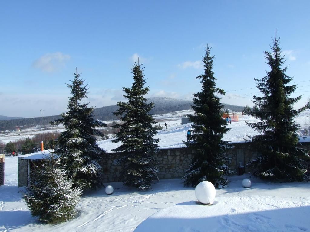 Апартаменты Poduszka Apartamenty pod Łysicą Krajno Pierwsze-55